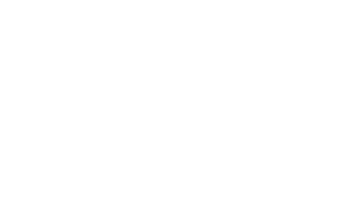 Financial Mechanics Group